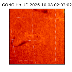 gong - 2026-10-08T02:02:02