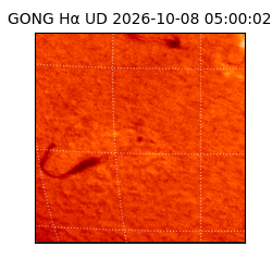 gong - 2026-10-08T05:00:02