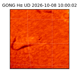 gong - 2026-10-08T10:00:02