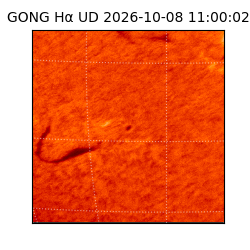 gong - 2026-10-08T11:00:02