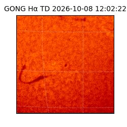 gong - 2026-10-08T12:02:22