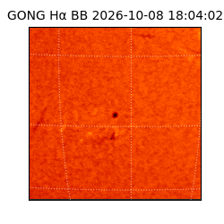 gong - 2026-10-08T18:04:02