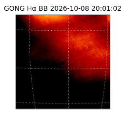 gong - 2026-10-08T20:01:02