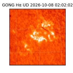 gong - 2026-10-08T02:02:02