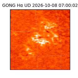 gong - 2026-10-08T07:00:02