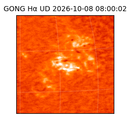 gong - 2026-10-08T08:00:02