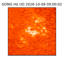 gong - 2026-10-08T09:00:02