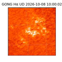 gong - 2026-10-08T10:00:02