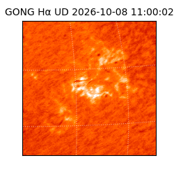 gong - 2026-10-08T11:00:02