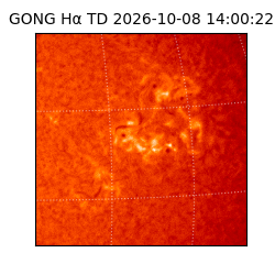 gong - 2026-10-08T14:00:22