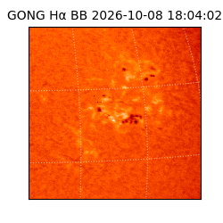 gong - 2026-10-08T18:04:02