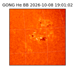 gong - 2026-10-08T19:01:02