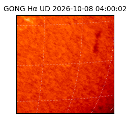 gong - 2026-10-08T04:00:02