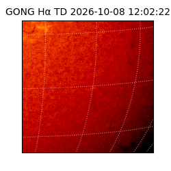 gong - 2026-10-08T12:02:22