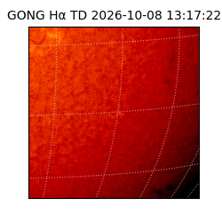 gong - 2026-10-08T13:17:22