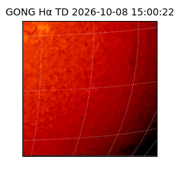 gong - 2026-10-08T15:00:22
