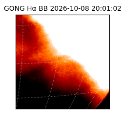 gong - 2026-10-08T20:01:02
