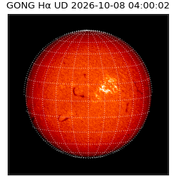gong - 2026-10-08T04:00:02