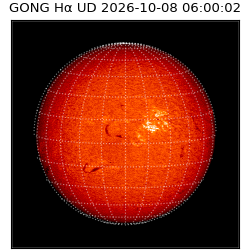 gong - 2026-10-08T06:00:02