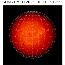 gong - 2026-10-08T13:17:22