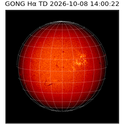 gong - 2026-10-08T14:00:22