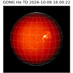 gong - 2026-10-08T16:00:22