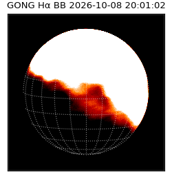 gong - 2026-10-08T20:01:02
