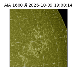 saia - 2026-10-09T19:00:14.123000
