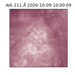 saia - 2026-10-09T10:00:09.622000