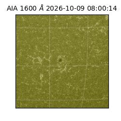 saia - 2026-10-09T08:00:14.123000
