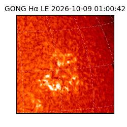 gong - 2026-10-09T01:00:42