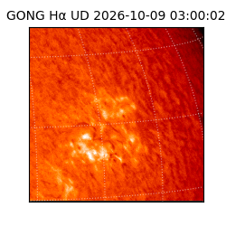 gong - 2026-10-09T03:00:02