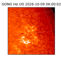 gong - 2026-10-09T06:00:02