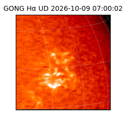 gong - 2026-10-09T07:00:02
