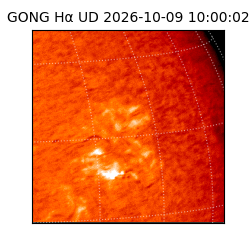 gong - 2026-10-09T10:00:02