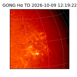 gong - 2026-10-09T12:19:22
