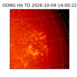 gong - 2026-10-09T14:00:22