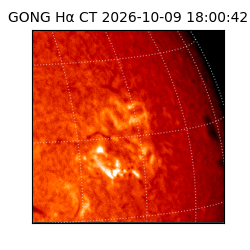 gong - 2026-10-09T18:00:42