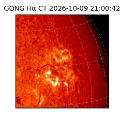 gong - 2026-10-09T21:00:42