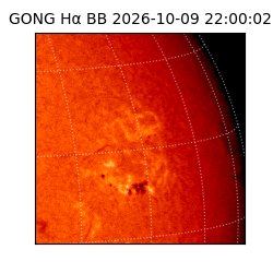 gong - 2026-10-09T22:00:02