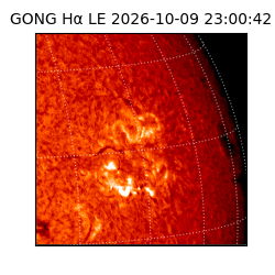 gong - 2026-10-09T23:00:42