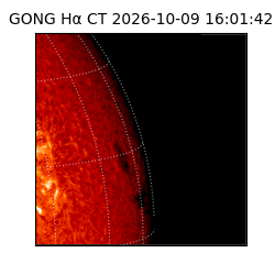 gong - 2026-10-09T16:01:42