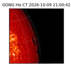 gong - 2026-10-09T21:00:42