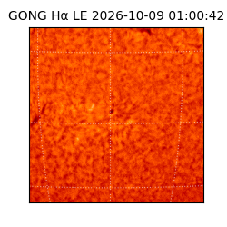gong - 2026-10-09T01:00:42