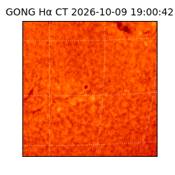 gong - 2026-10-09T19:00:42