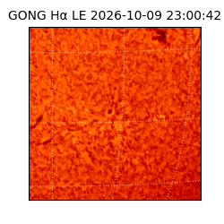 gong - 2026-10-09T23:00:42