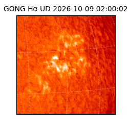 gong - 2026-10-09T02:00:02