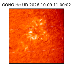 gong - 2026-10-09T11:00:02