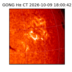 gong - 2026-10-09T18:00:42