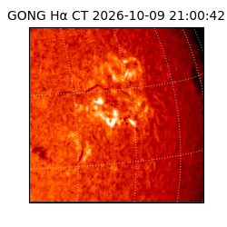 gong - 2026-10-09T21:00:42